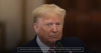 Would you vote for Donald Trump if he ran again in 2024?